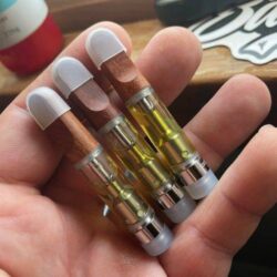 buy dmt carts for sale