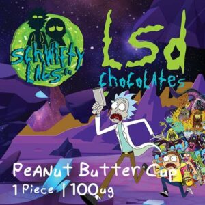 Lsd edible 100ug – peanut butter cup – schwifty labs